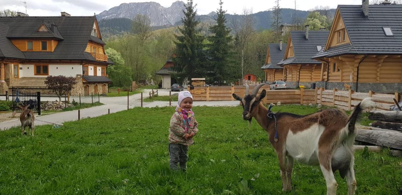 Apartament Karpielowka Przy Potoku Kościelisko Buitenkant foto